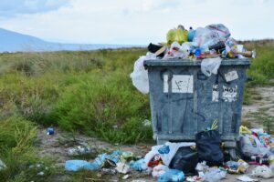 Rifiuti a Foggia: il Tribunale dispone il rinvio a giudizio per i vertici di Ager e Amiu Puglia. La soddisfazione del WWF, costituito parte civile.